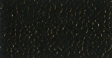 Black River (70-80)