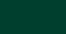Evergreen (90+)