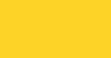 Safety Yellow II